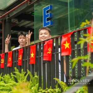 Cờ dây sao Đảng may chắc chắn