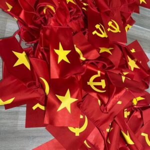 Cờ dây sao Đảng treo phòng họp