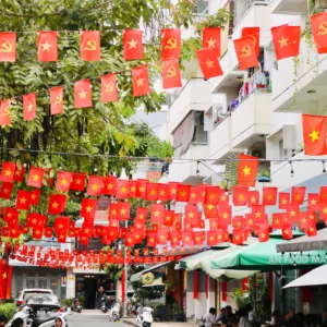 Cờ dây sao Đảng online