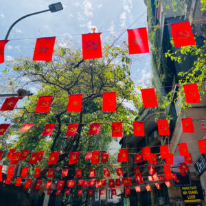 Cờ dây sao Đảng treo tuyến phố