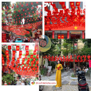 Cờ dây sao Đảng treo ngày thành lập Đảng